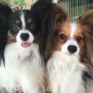 Meet your Posher, Cheryl